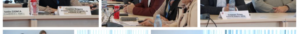 Eficientizarea sistemului medical arădean, în dezbatere la Consiliul Județean
