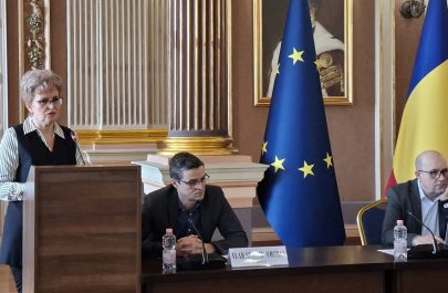 Liliana Florea adresându-se consilierilor