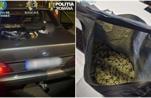 Nădlac canabis