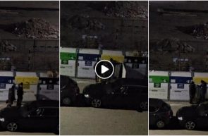 Spargerea unei insule ecologice in Micalaca