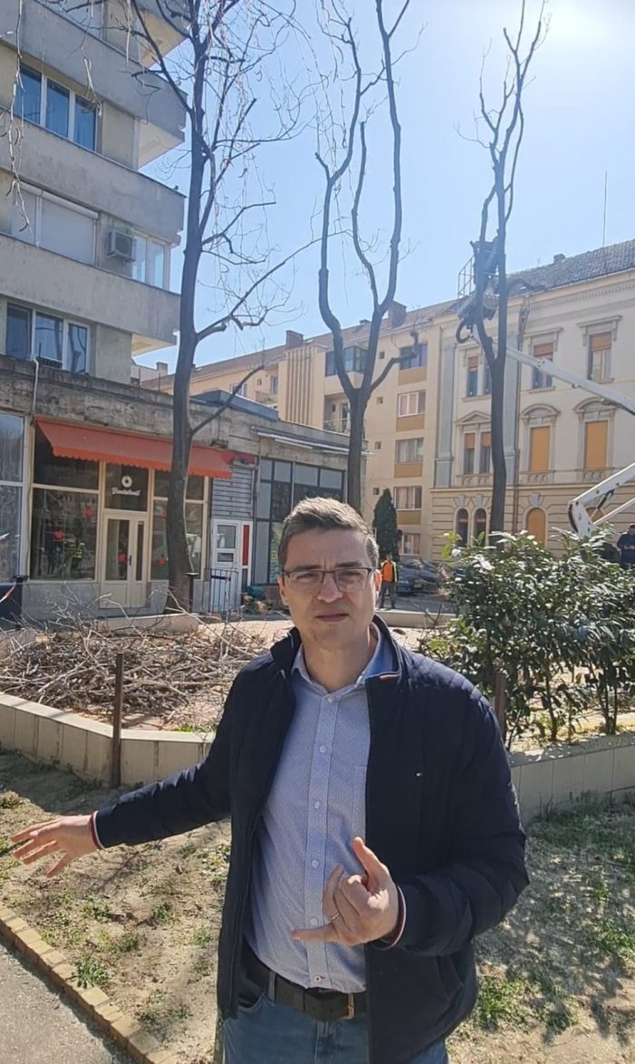 Poza pentru articolul FOTO. Luni, în Arad: au tăiat cei 12 copaci otrăviți de la Libelula și au făcut schițe pentru viitorul parc de buzunar de aici