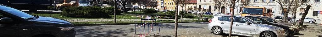 11 arbori Parcul Reconcilierii