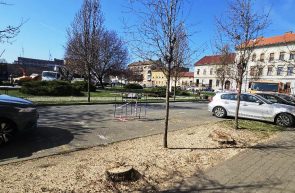11 arbori Parcul Reconcilierii