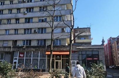 copaci libelula taiati 12