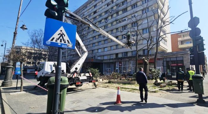 Poza pentru articolul FOTO. Luni, în Arad: au tăiat cei 12 copaci otrăviți de la Libelula și au făcut schițe pentru viitorul parc de buzunar de aici
