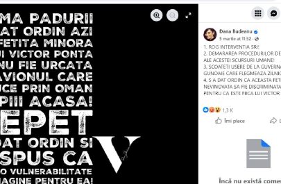 criză dana budeanu