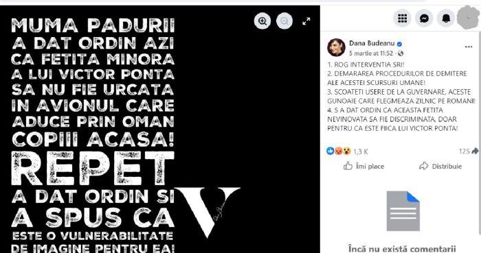 criză dana budeanu
