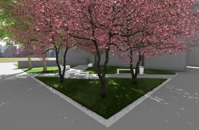 libelula schita parc 4