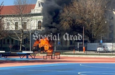 mașină foc teren moise (3)