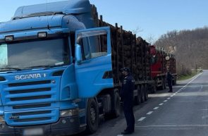 polițiștii Săvârșin lemne