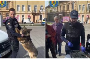 polițiștii Ziua Porților Deschise IPJ