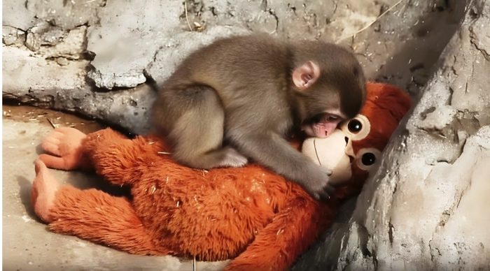 Poza pentru articolul Știri aproape ratate (51). Despre femei, război, draperii și adicții în era Jesus AI