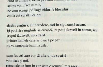 stiri ratate 52 poezia sorina randasu