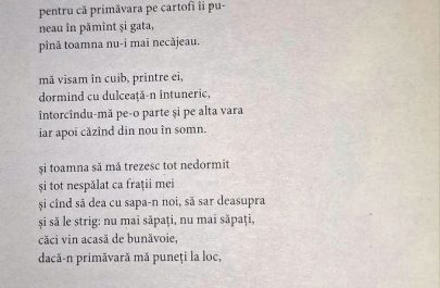 stiri ratate 53 poezia ioane es pop