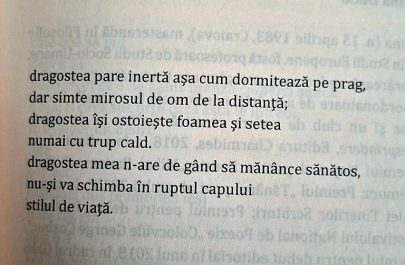 stiri ratte 51 poezia