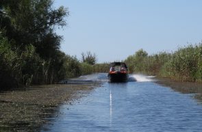 Delta Dunării