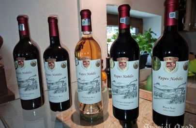 HB Wine covăsânț (3)