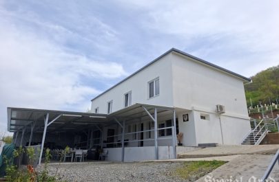 HB Wine covăsânț (4)