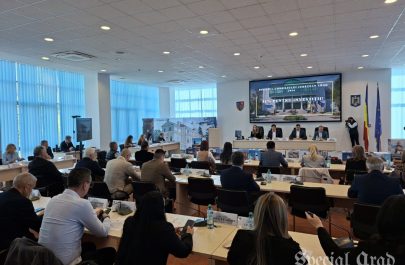 bugetul județului aprobat (1)