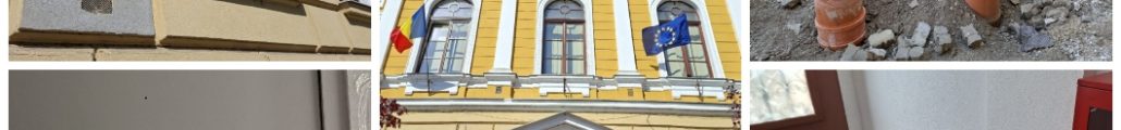 Cazul Elena Ghiba Birta reabilitare