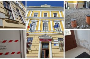 Cazul Elena Ghiba Birta reabilitare