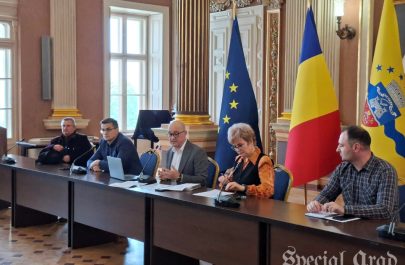 dezbatere tensionată jocuri noroc primărie arad (9)