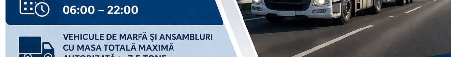 restricţii