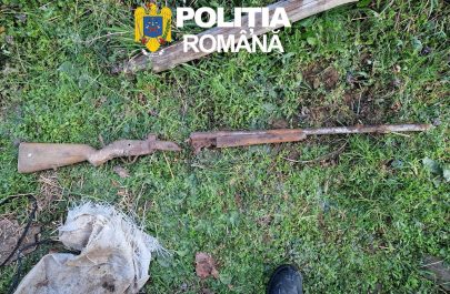 pol 1