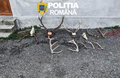 pol 2