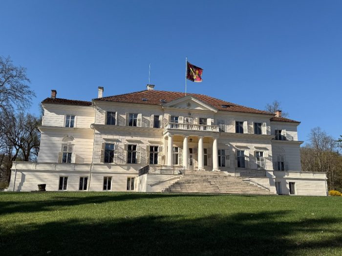savarsin castelul regal