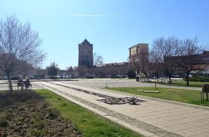 Florii vremea