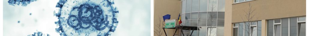 Hantavirus Arad