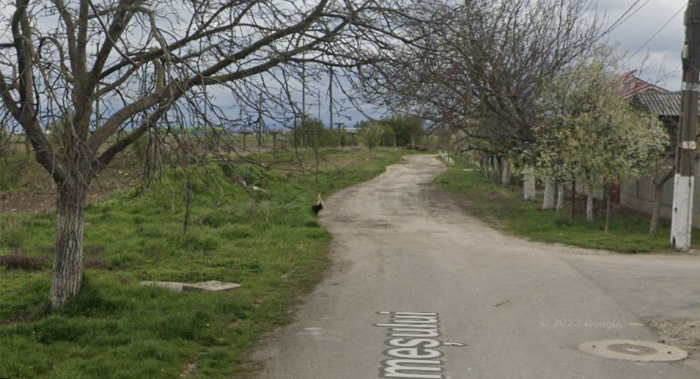 Strada Someșului de pe Murăș