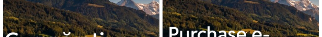 Încă două portaluri neautorizate de către CNAIR pentru vânzarea rovinietei
