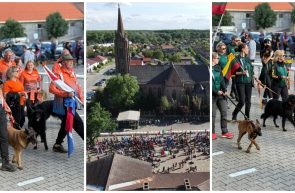 Ciobănești Belgieni Pecica