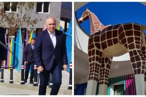 Pică ori nu pică Ilie