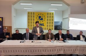 Pnl arad 0528163105677782