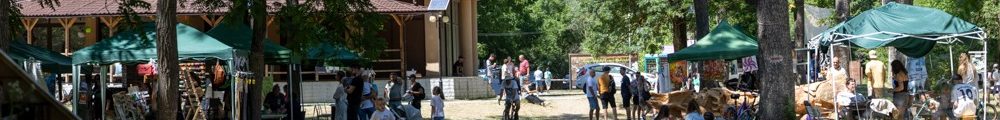 Lunca Mureșului