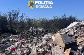 deșeuri amendă