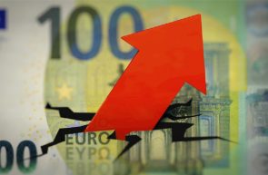 BNR creștere euro