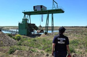 mediu Arad probleme Garda