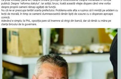 postare Sulincean