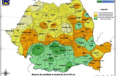 seceta pedologica