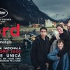 FJORD_Mungiu_Cinema_Arta