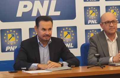 Falcă Faur pucist