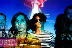 Special New Music Elephant Stone