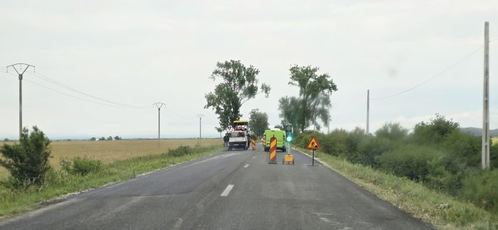 Seleuș Mocrea reparații