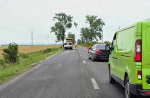 Seleuș Mocrea reparații