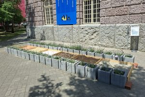 aleea senzorială