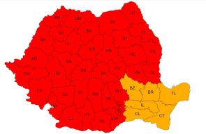 40°C umbră